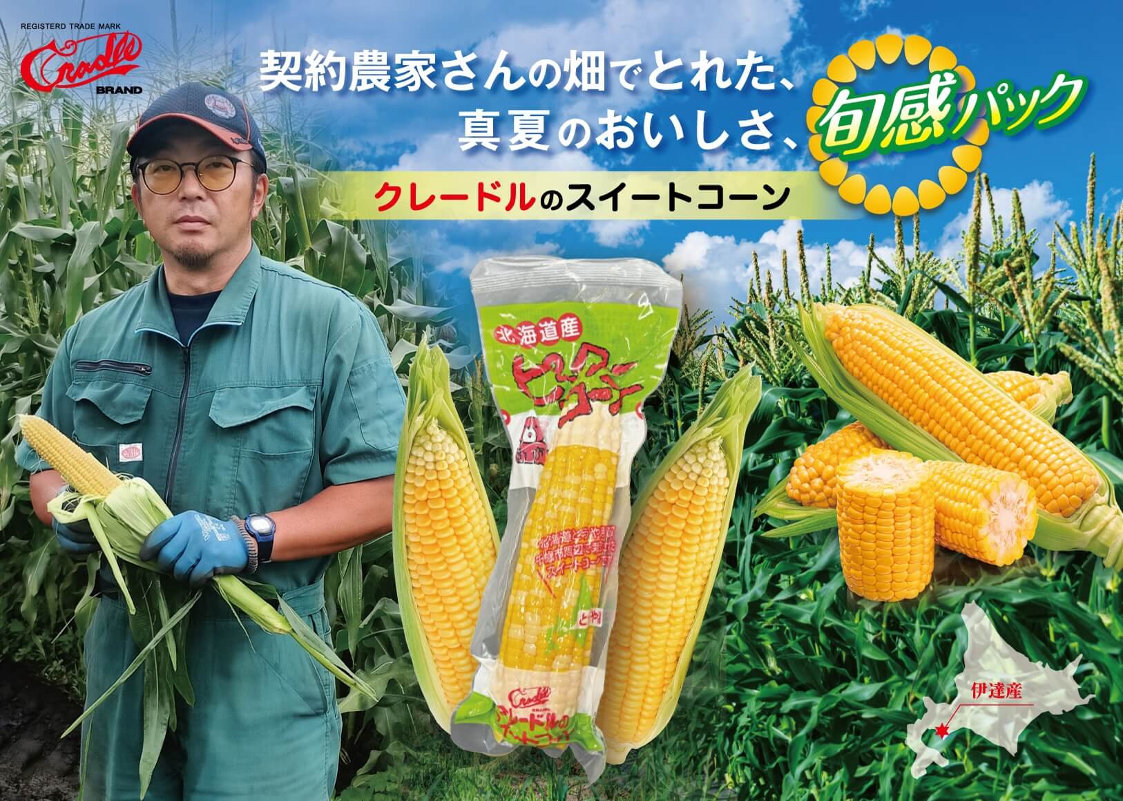 契約農家さんの畑で採れた、真夏のおいしさ | 旬感パック | クレードルのスイートコーン